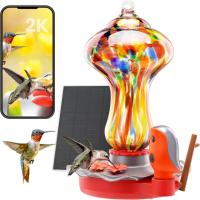 Glass Smart Hummingbird Feeder with Camera