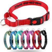 Personalized Martingale Dog Collar