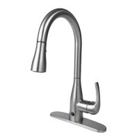 Biobidet Flow Motion Activated Kitchen Faucet