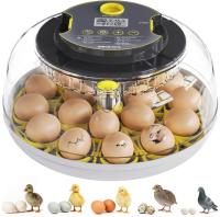Incubator Hatching Eggs
